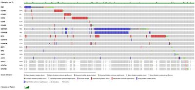 Mechanisms and Implications of CDK4/6 Inhibitors for the Treatment of NSCLC